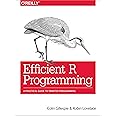 Efficient R Programming: A Practical Guide to Smarter Programming
