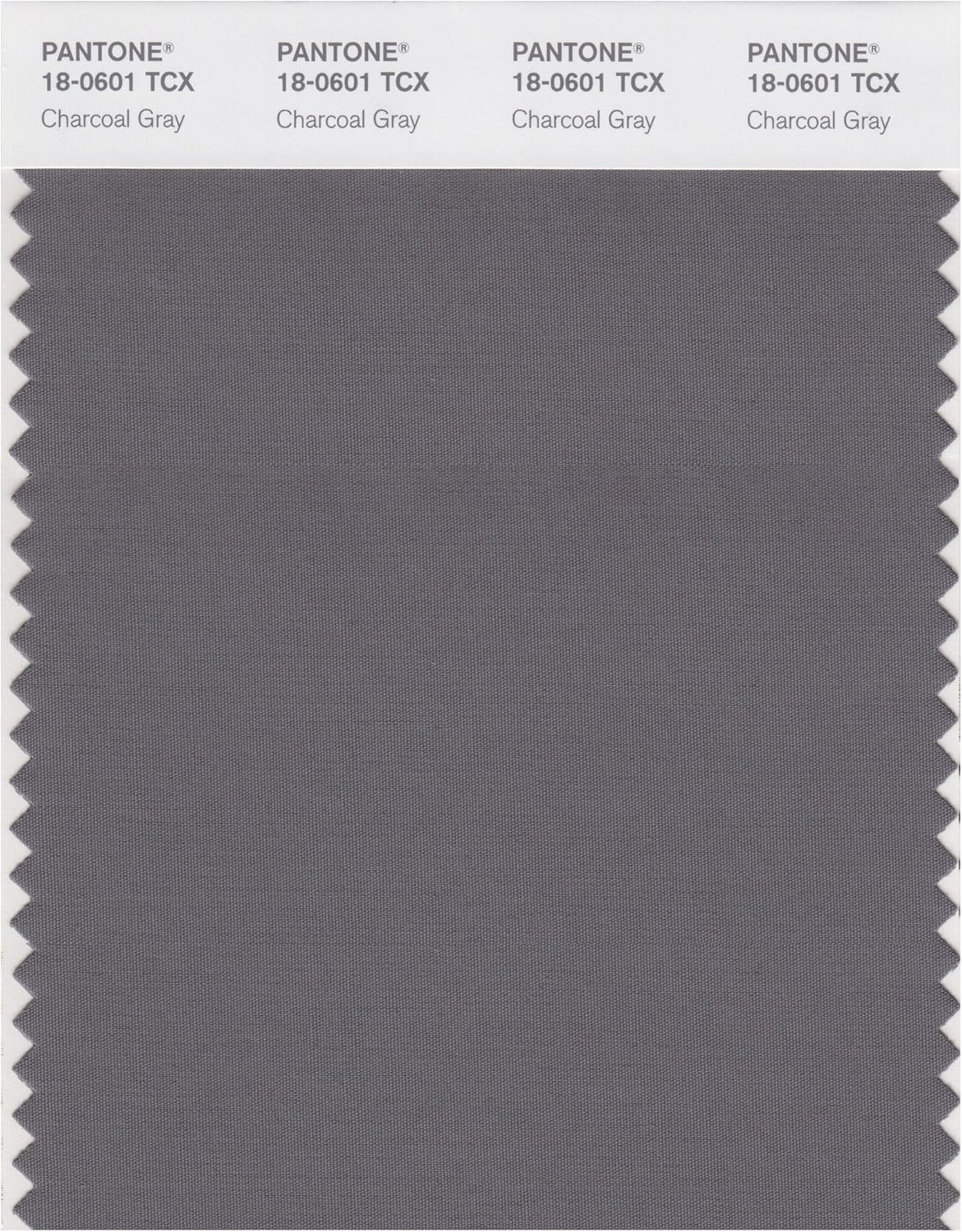 PANTONE Smart 180601X Color Swatch Card, Charcoal Gray House Paint