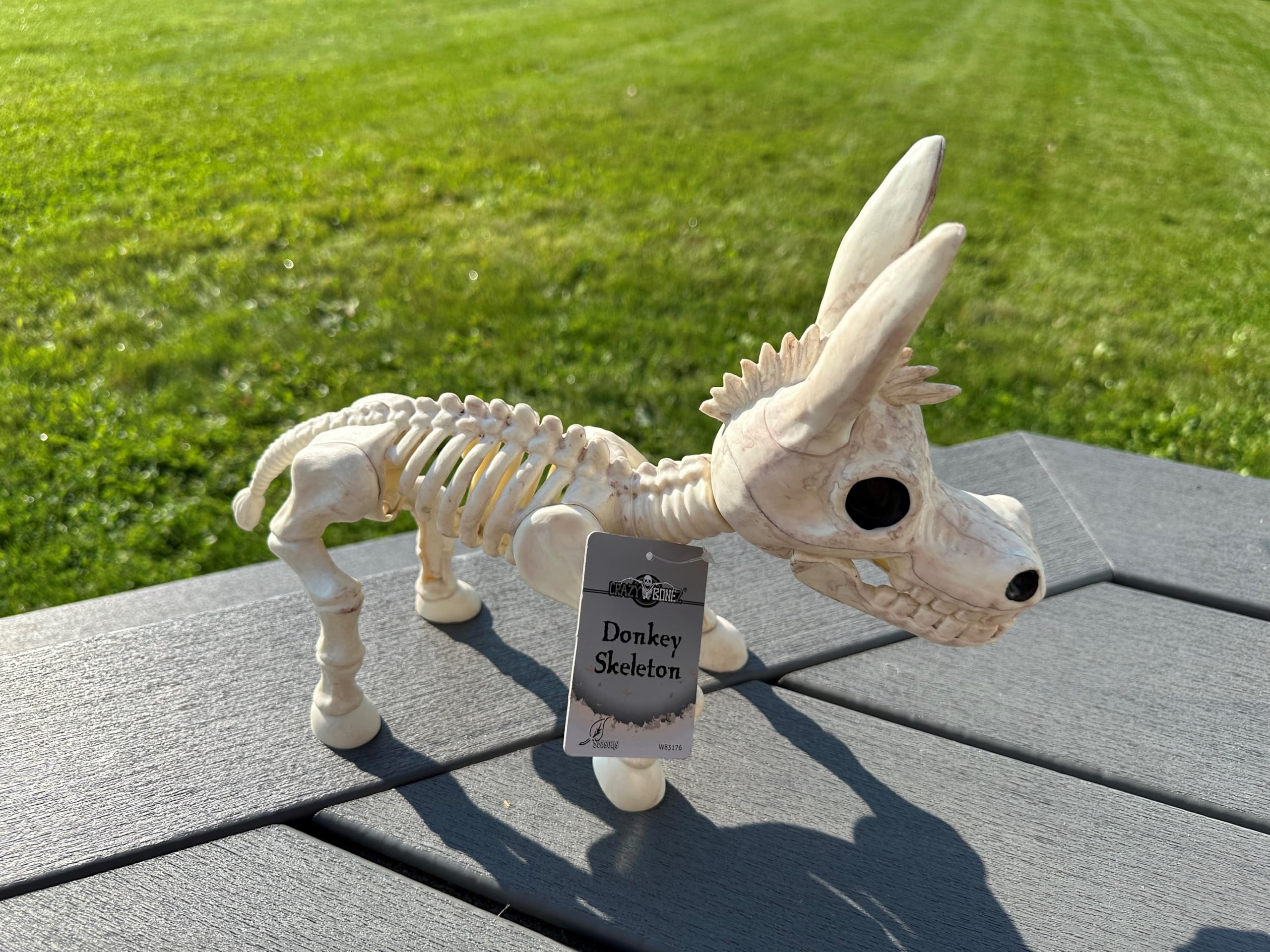 Crazy Bonez Skeleton Donkey