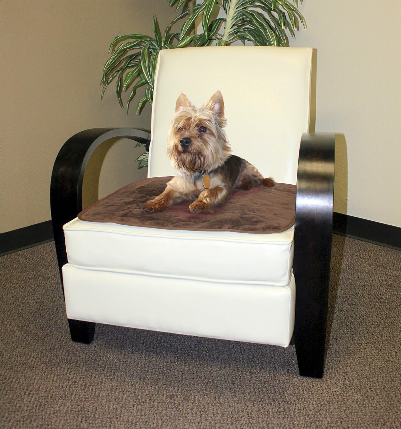RMS Washable & Reusable Incontinence Chair Pad, Seat Protector & Bed Pad (Brown): Industrial & Scientific