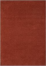 THE RUGS Living Room Rug Shaggy 30mm Thick 140x200 cm Terra Colour view 6