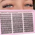 Goddvenus Eyelash Extensions Wispy Natural DIY C Curl Individual Lashes Clusters Black 10-16mm 300pcs