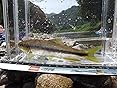カスタマー画像
