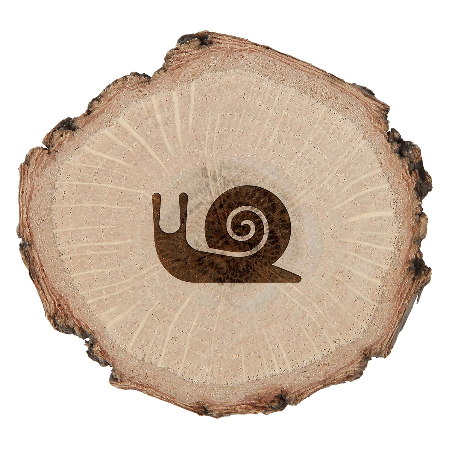 Compra Rebanada de madera rústica grabada con caracol, rebanadas ...