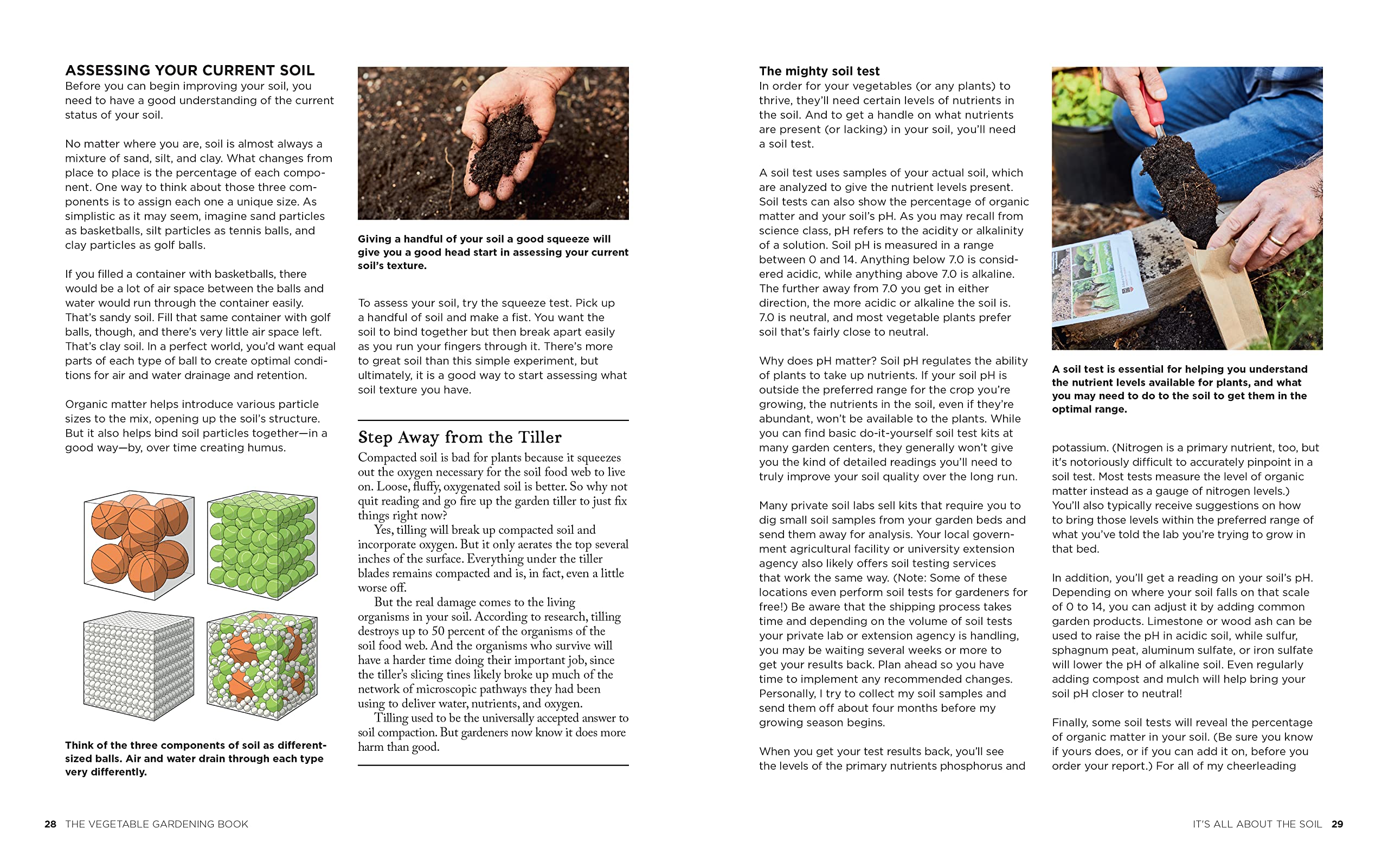 The Vegetable Gardening Book: Your complete guide to growing an edible organic garden from seed to harvest