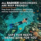 Badger Clear Zinc Sunscreen SPF40 Unscented 87 ml 2.9 fl oz view 5