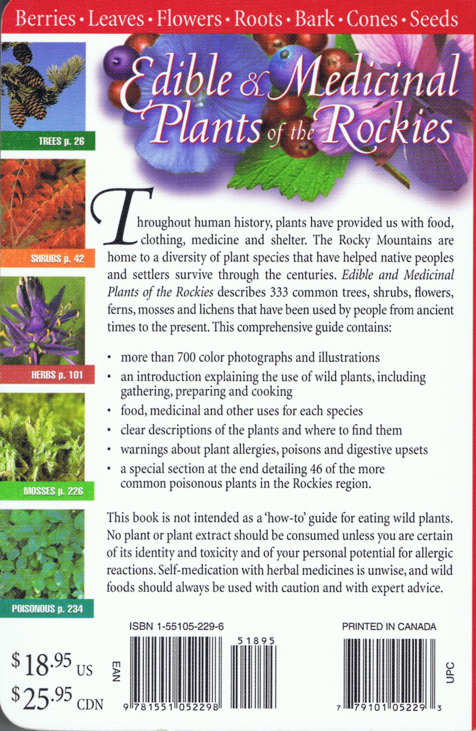 Edible Medicinal Plants Of The Rockies MedicineWalls