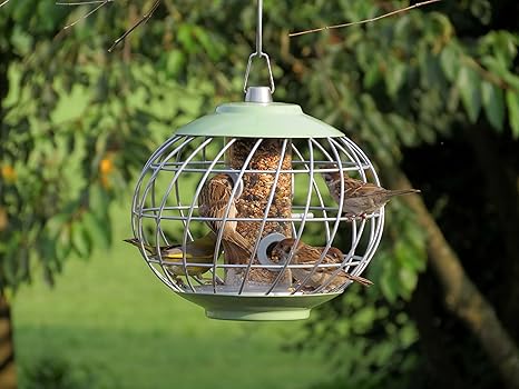The Nuttery Helix Seed Feeder Amazon Co Uk Garden Outdoors