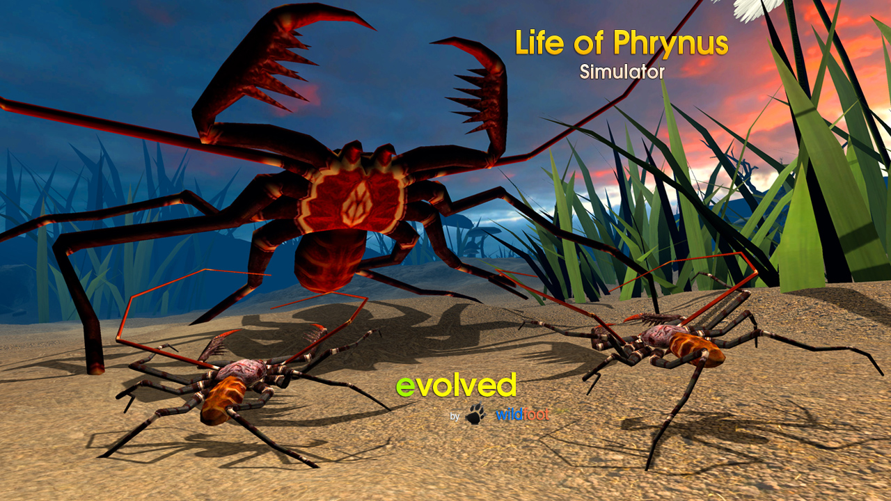 Life of Phrynus - Whip Spider - Thumbnail 2