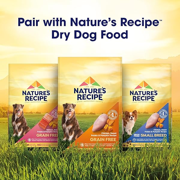 NATURE’S RECIPE WET DOG FOOD, CHICKEN IN BROTH RECIPE, 2.75 OUNCE CUP (PACK OF 12) PACKAGE MAY VARY