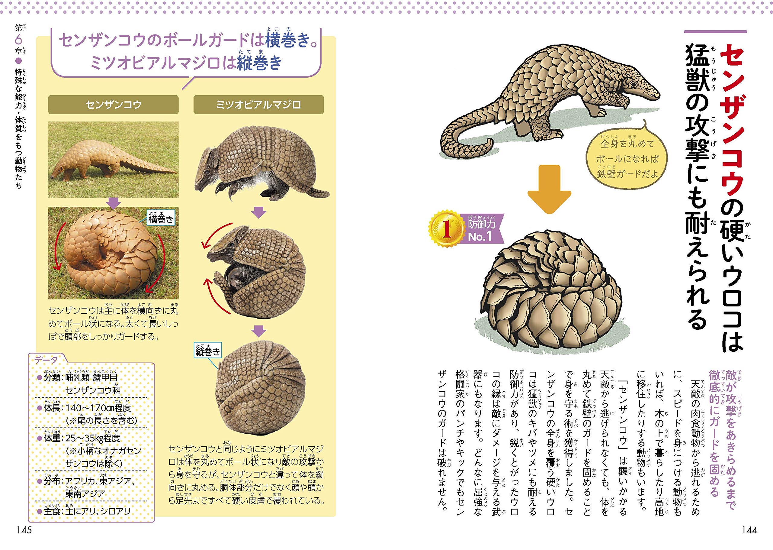 驚きの身体能力 アスリートな動物図鑑 石井 直方 成島 悦雄 本 通販 Amazon