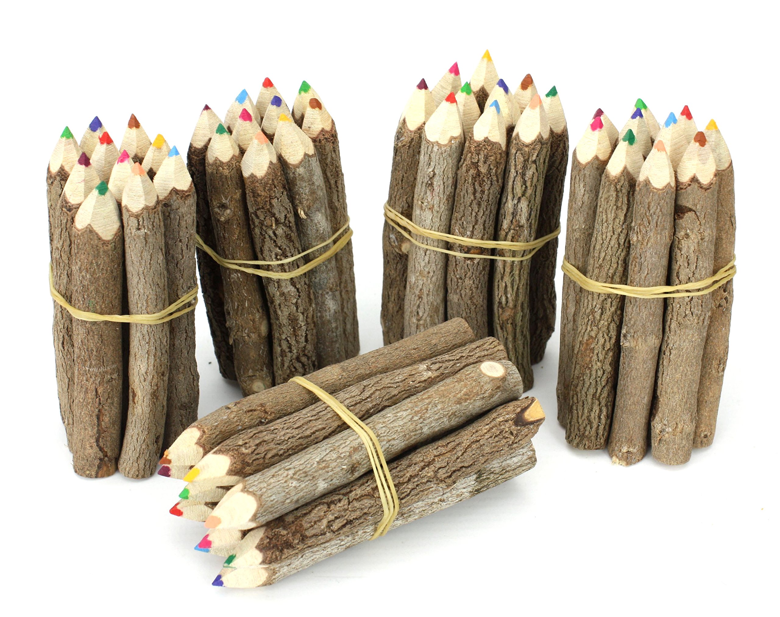 Buy Farang Thai Tree Branch Twig Pencil Bundle Extra Small Size