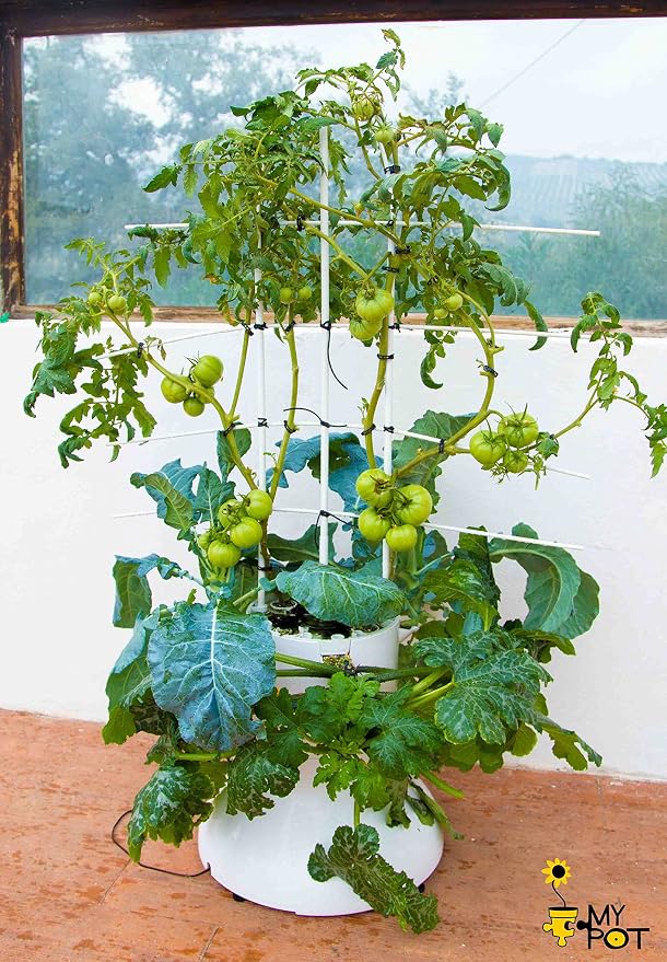 Mesa de Cultivo Automática - MyPot. Sistema hidropónico, cultivo ...