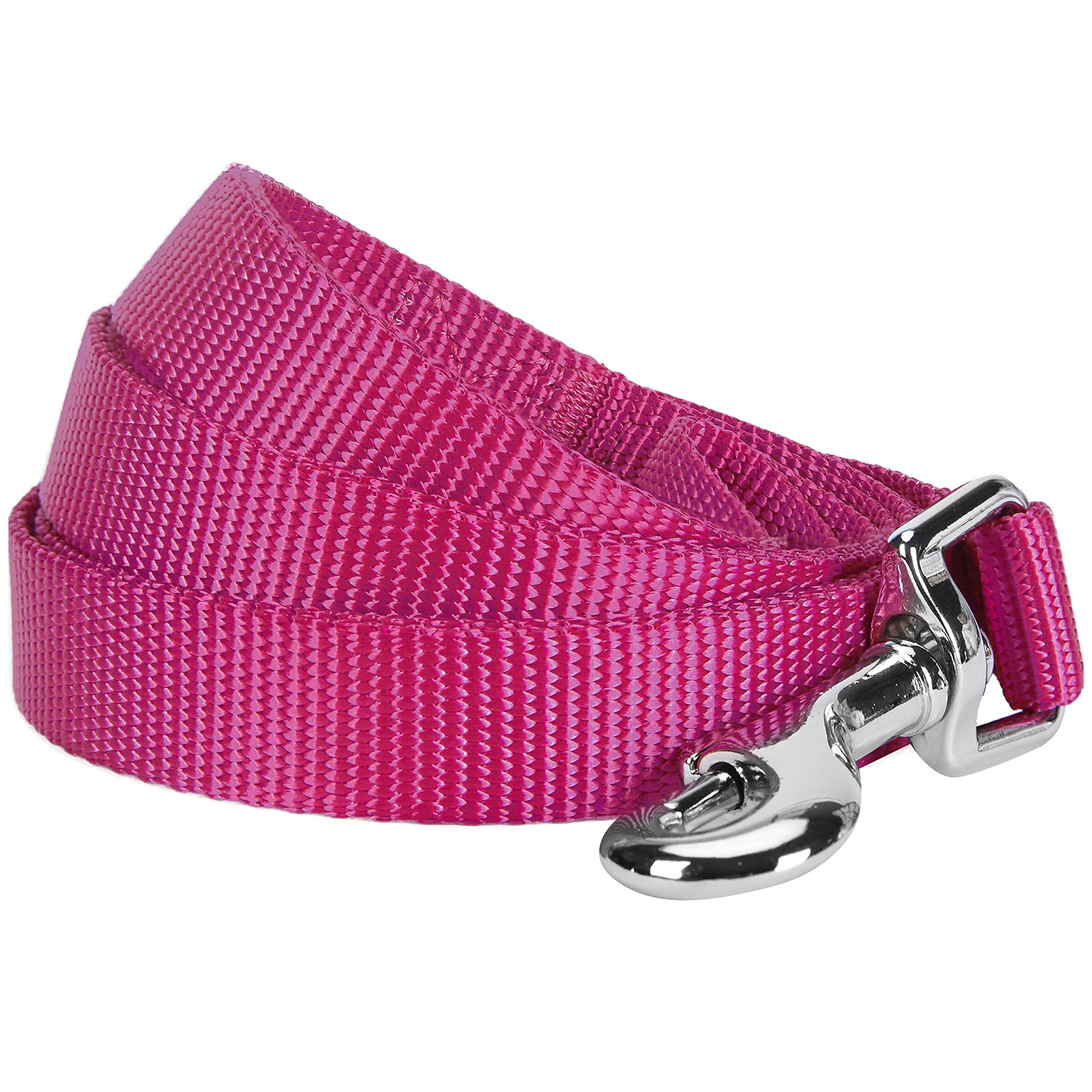 Blueberry Pet Durable Classic Solid Color Dog Lead 120 cm x 2.5cm in Very Berry, Large, Basic Nylon Leads for Dogs, Matching Collar & Harness Available Separately