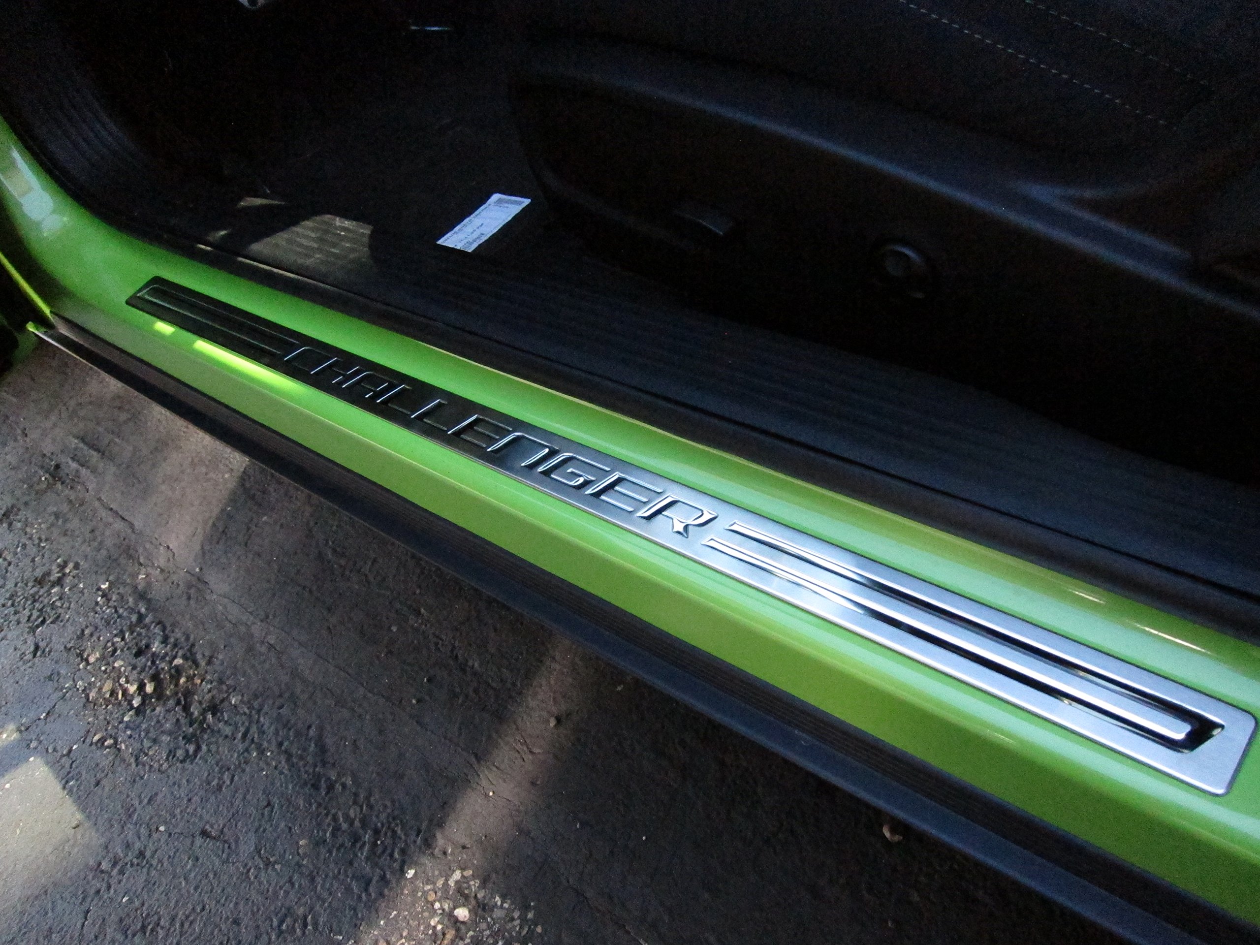 Challenger Door Sill Guards