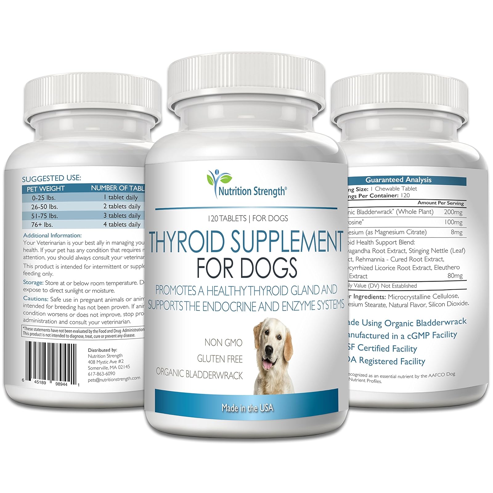 thyroid supplements for dogs