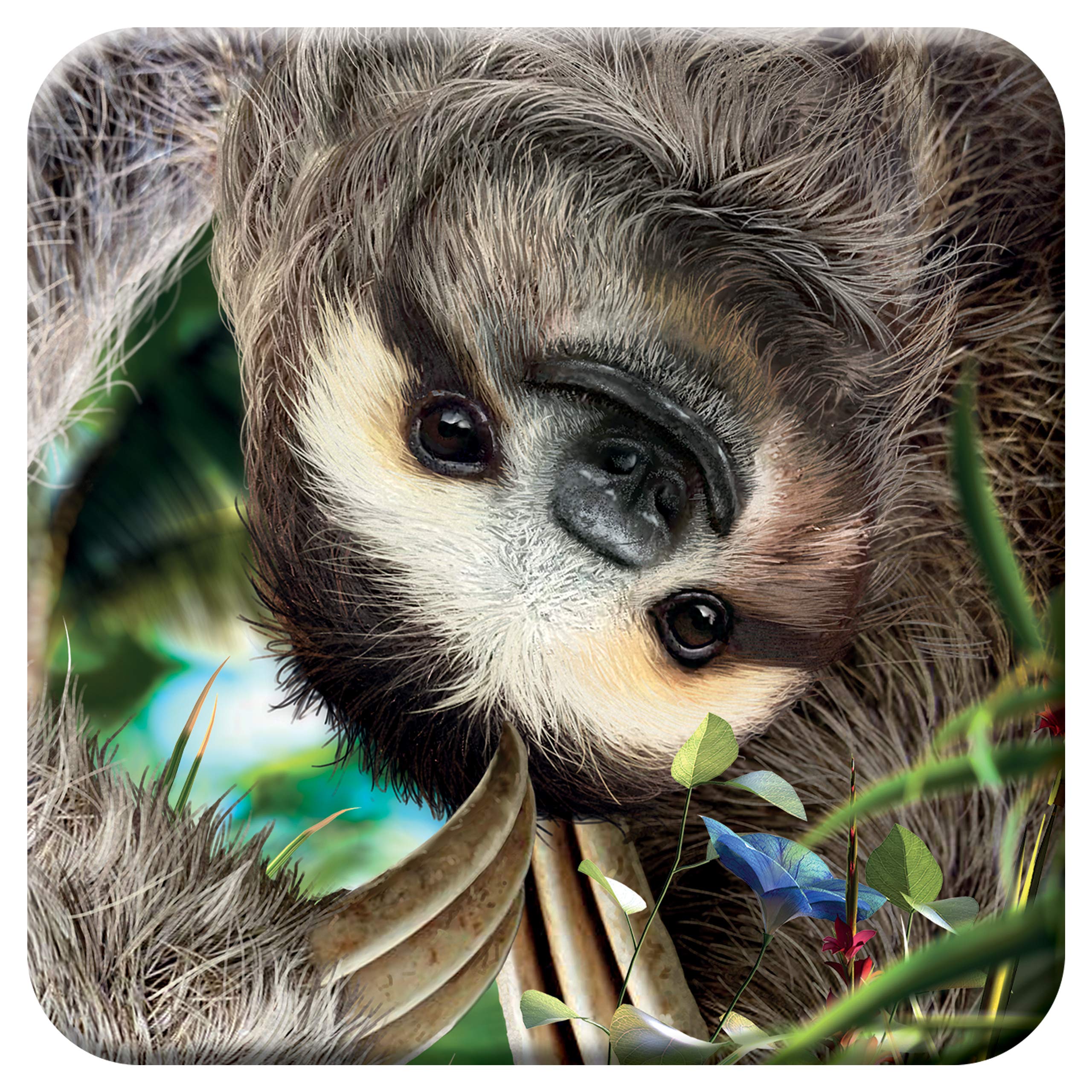 3D LiveLife Cork Coaster - Hangin' Around from Deluxebase. Lenticular Sloth Drink Coasters. Funny Gifts for Women and Men. Cute Novelty Kitchen Gift Ideas and Decorative Home Accessories
