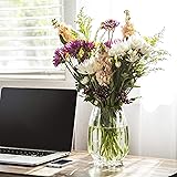 DDC BRANDS Clear Glass Flower vase, Create