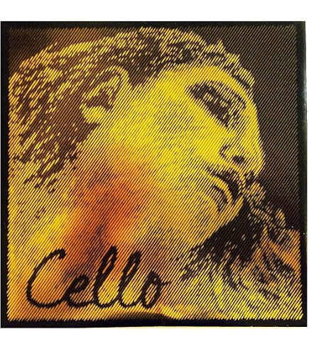 Amazon.com: Pirastro Evah Pirazzi 4/4 Gold Cello String Set