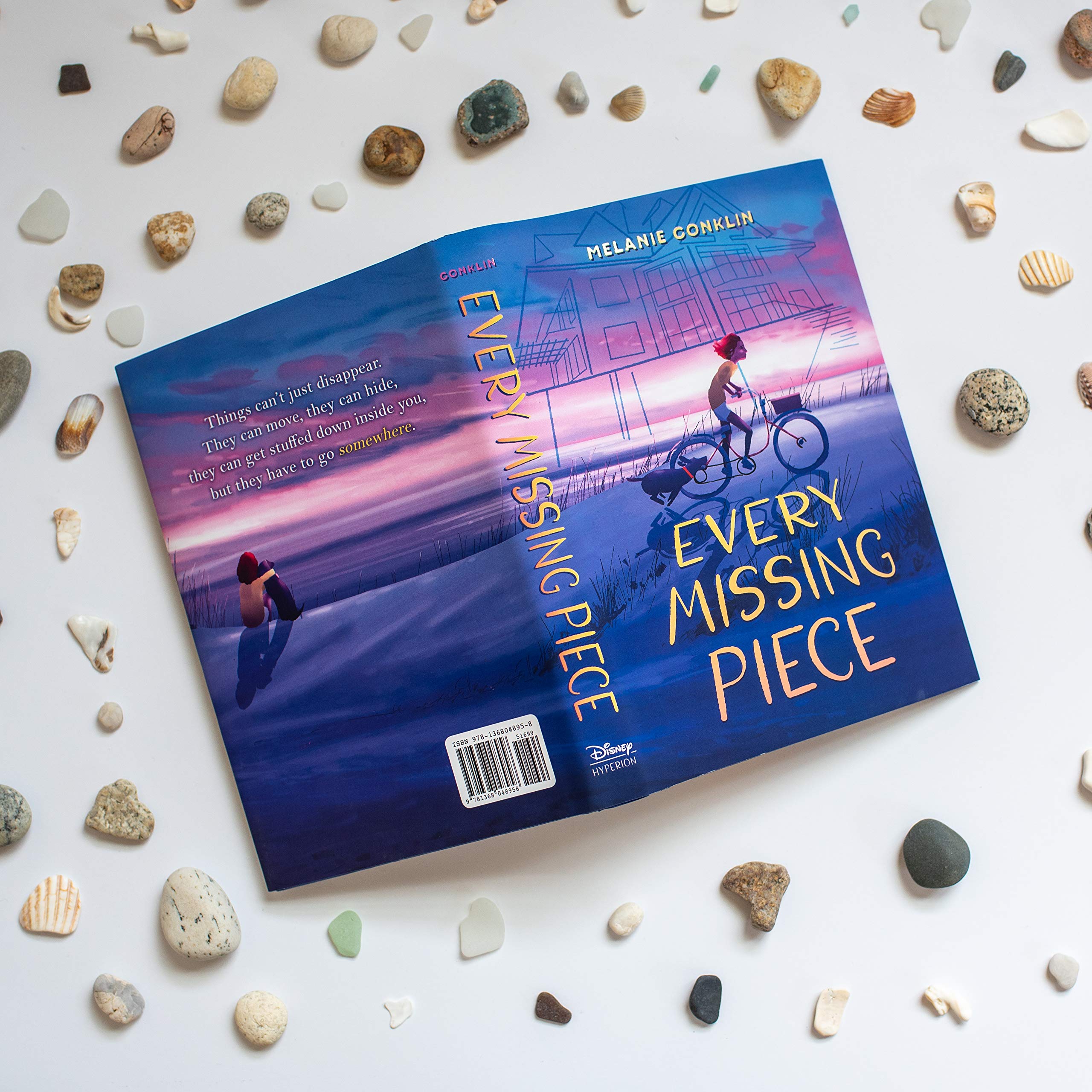 Every Missing Piece Conklin Melanie 9781368048958 Amazon Com Books