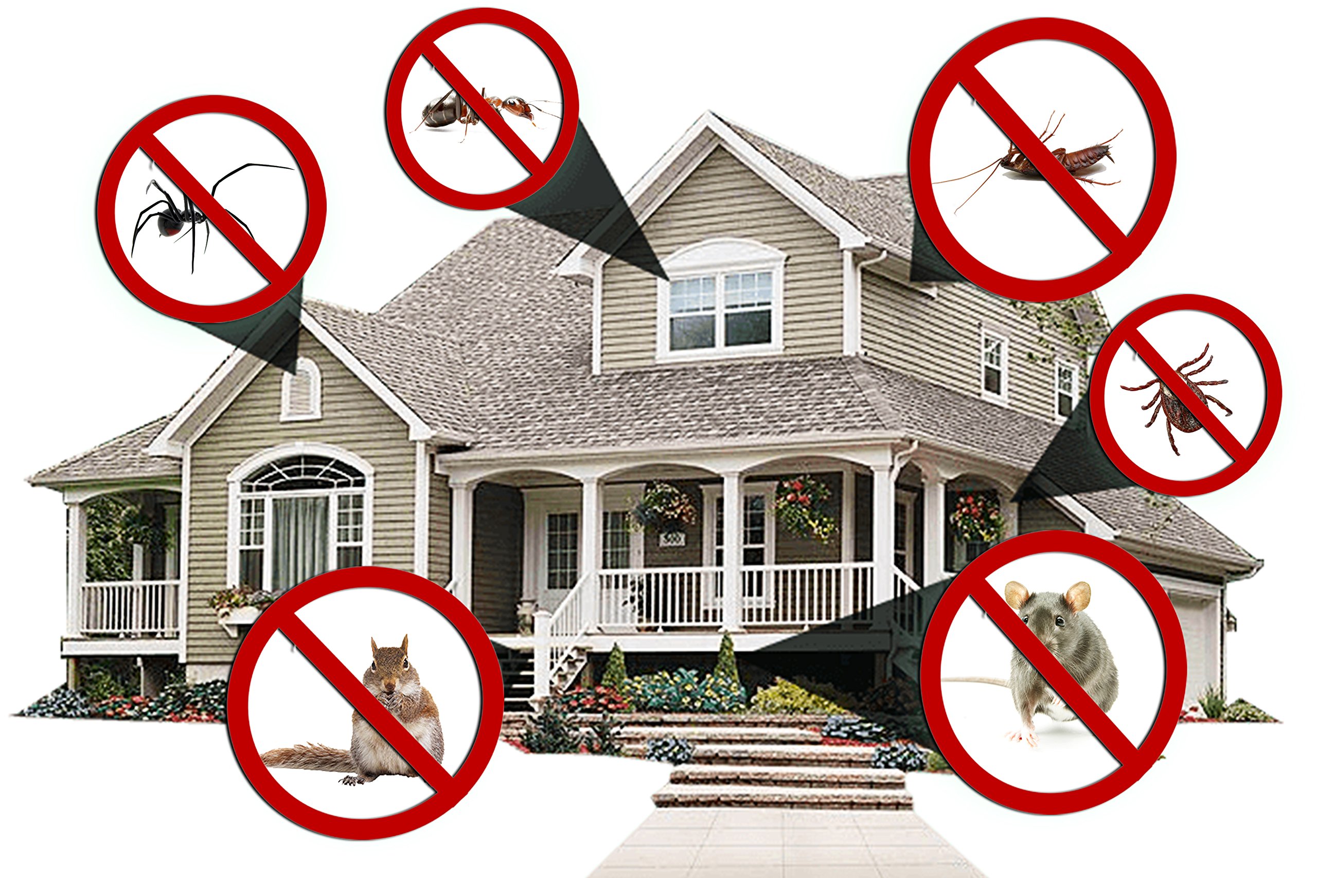 WOHLRIKE Ultrasonic Pest Repellent Plug-In Kit –Portable, Compact, Truly Effective & Non Toxic Insect Repeller Control –For Mosquitoes, Ants, Mice, Rats, Flies, Bees, Bugs, Fleas, Roaches & More