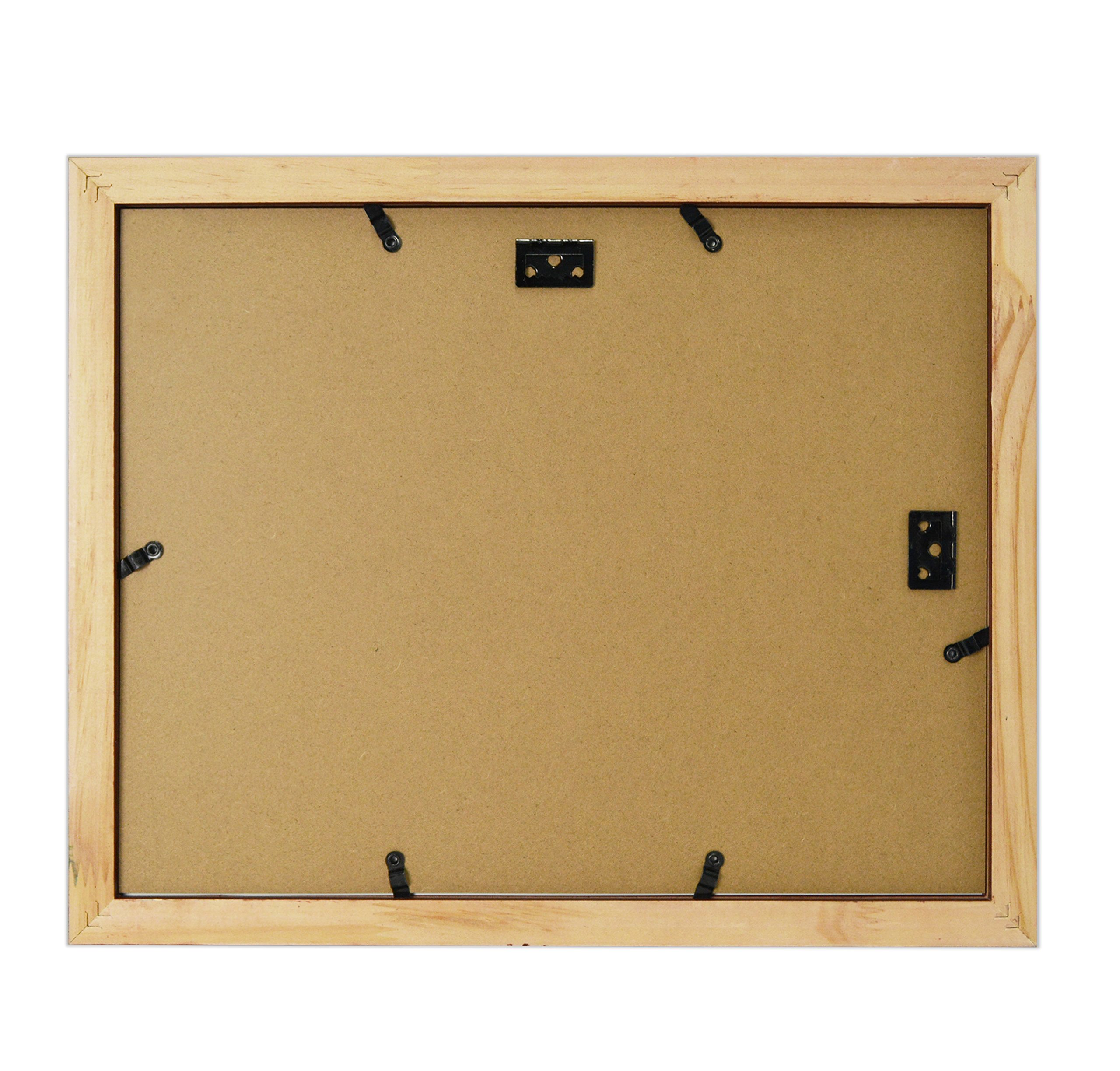 Golden State Art, Document/Photo Wood Frame for Document & Certificates, Real Glass (11x14 Frame