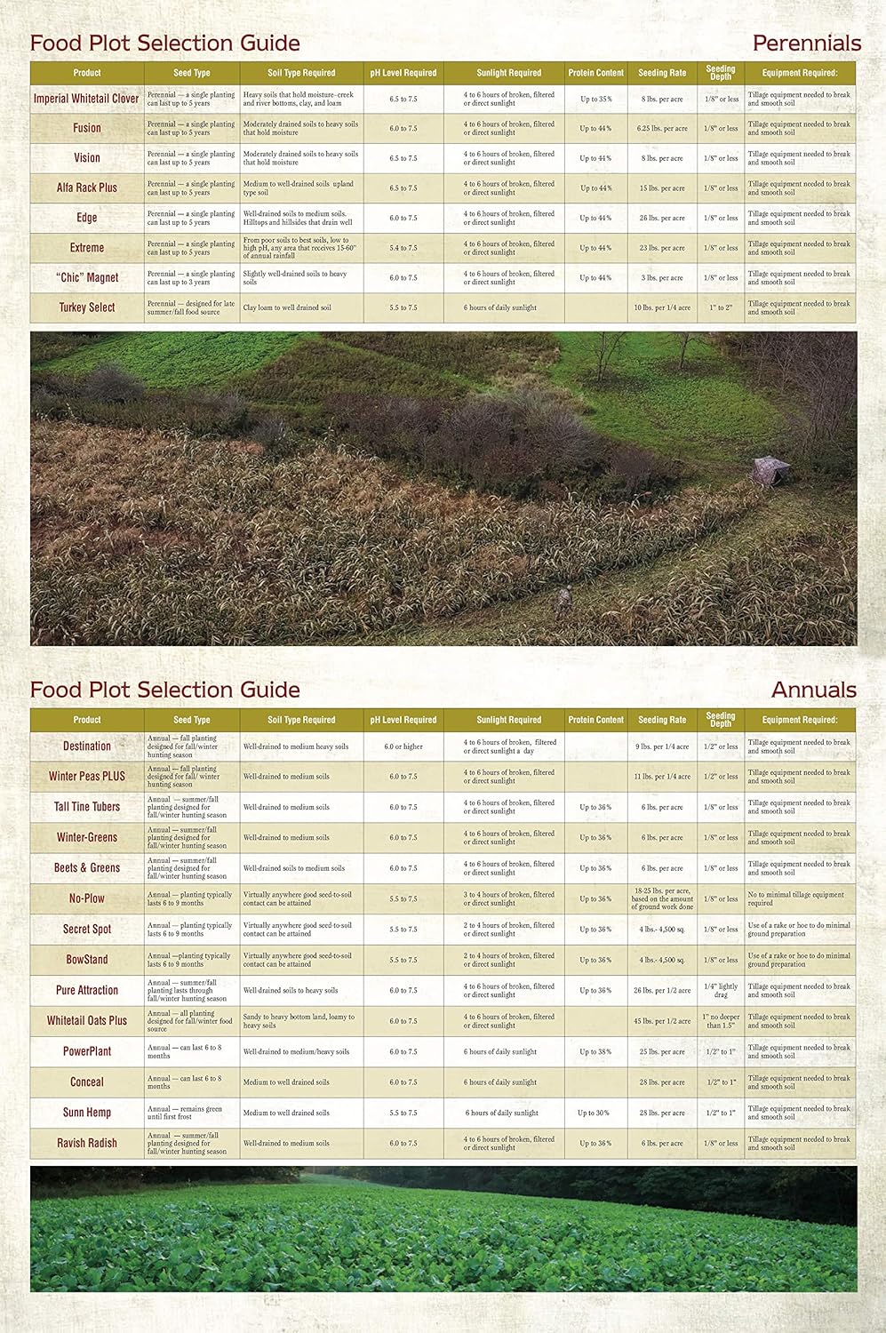 Whitetail Institute Imperial Winter Pea Plus Food Plot Seed (Fall Planting), 11-Pound (.25 Acre) : Hunting Accessories : Sports & Outdoors