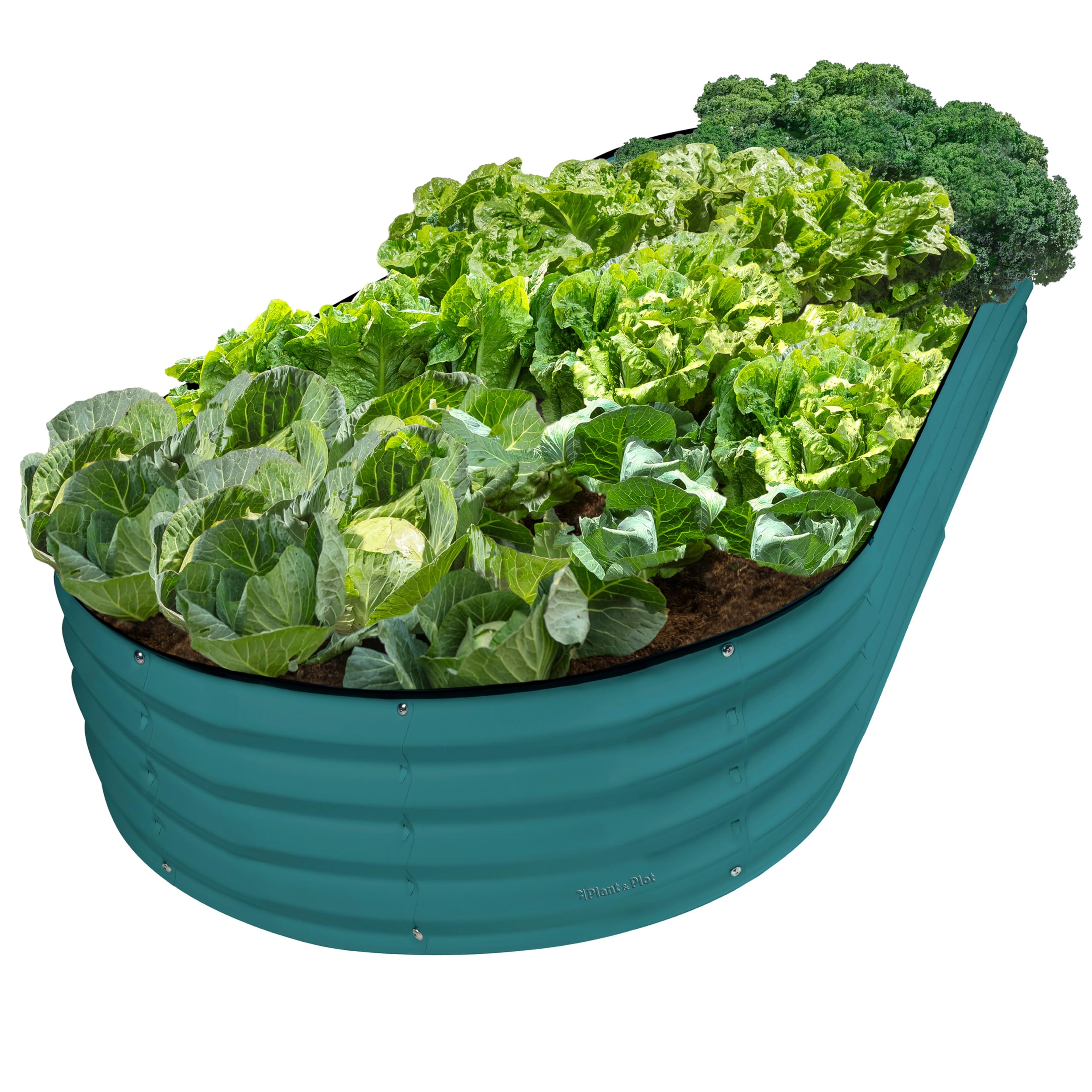 Plant & Plot Galvanized Raised Garden Beds Outdoor // 8×4×1 ft Planter Raised Beds for Gardening, Vegetables, Flowers // Large Metal Garden Box // Patented Tool-Free Design (Turquoise) Image