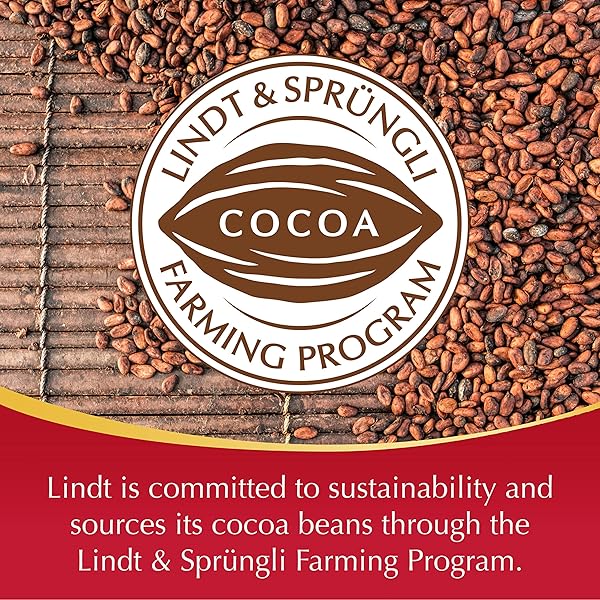LINDT LINDOR MILK CHOCOLATE CANDY TRUFFLES, CHOCOLATES WITH SMOOTH, MELTING TRUFFLE CENTER, 8.5 OZ. BAG