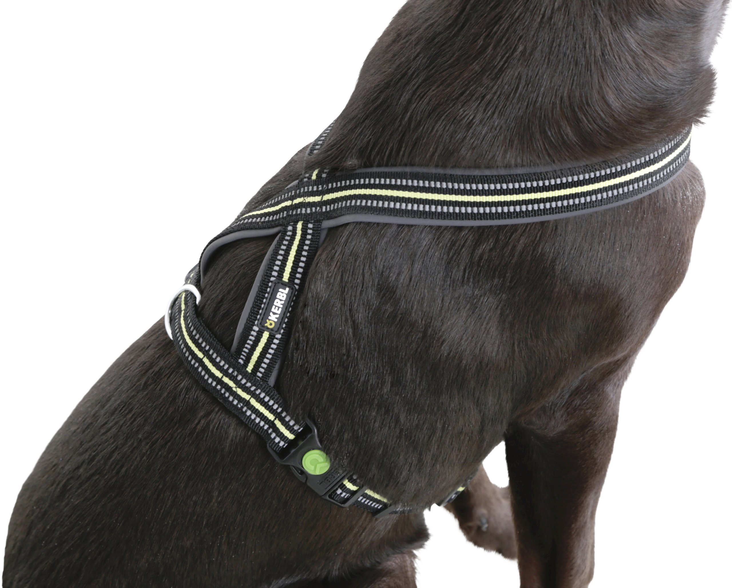 Kerbl Reflective Padded Harness, 20 x 40 to 60 cm, Black/Yellow