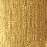 Liquitex Basics Gold Acrylic Paint 118 ml Tube Artist Quality view 2