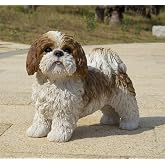 HI-LINE Gift Brown &amp; White Standing Shih TZU