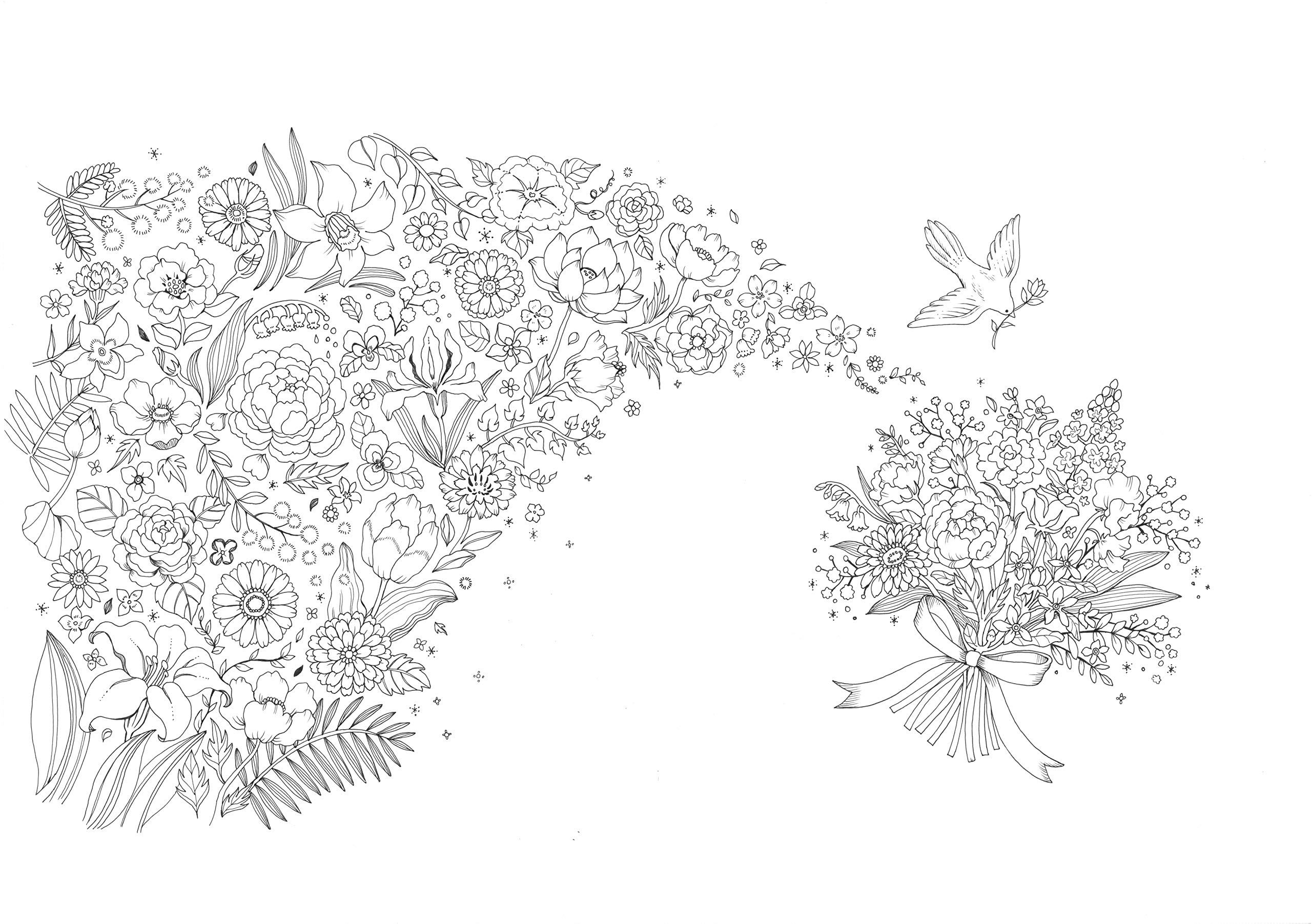 【100+】 お花 塗り絵 簡単 ~ 印刷可能なぬりえ