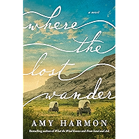 Where the Lost Wander: A Novel