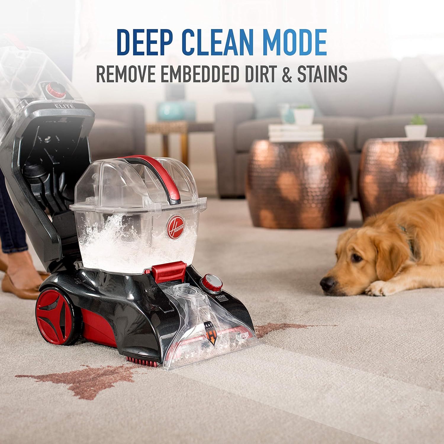 20 Best Carpet Shampooers, Reviews & Buyer’s Guide