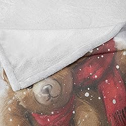 Ambesonne Christmas Throw Blanket, Classic Oil