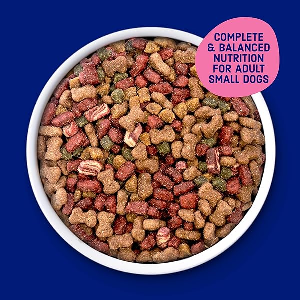 KIBBLES ‘N BITS MINI BITS SMALL BREED DRY DOG FOOD, SAVORY BACON & STEAK FLAVOR FOR ADULT DOGS, 3.5 LB. BAG