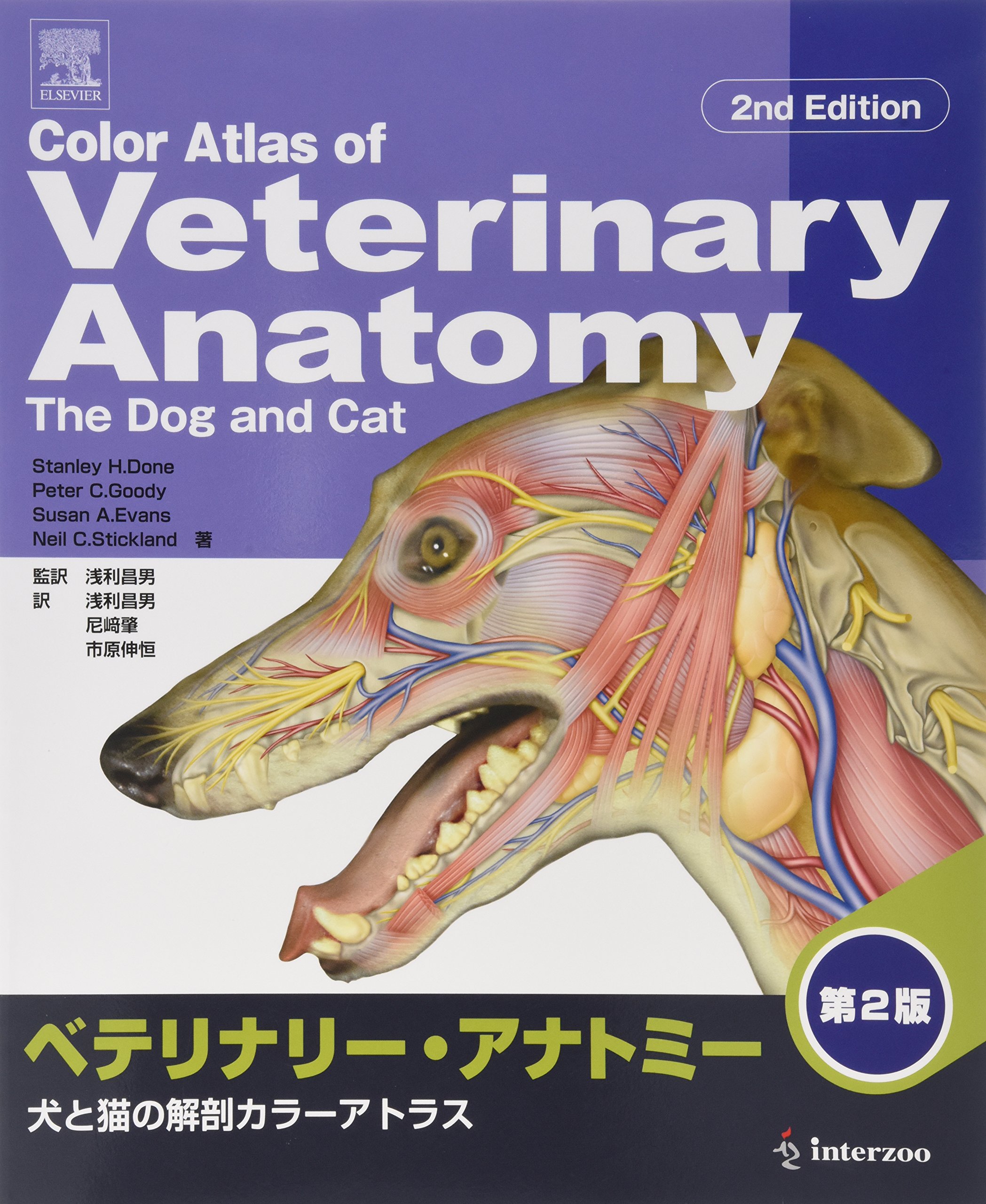 楽ギフ 包装 ベテリナリー アナトミー 犬と猫の解剖カラーアトラス コンピュータ It News Elegantsite Gr