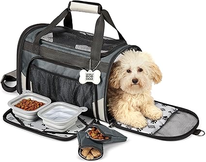 scruffs dog carrier