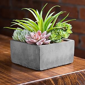 MyGift Faux Potted Assorted Succulents Plants in Grey Planter