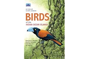 Chamberlain's Birds of the Indian Ocean Islands: Madagascar, Mauritius, Reunion, Rodrigues, Seychelles and the Comores