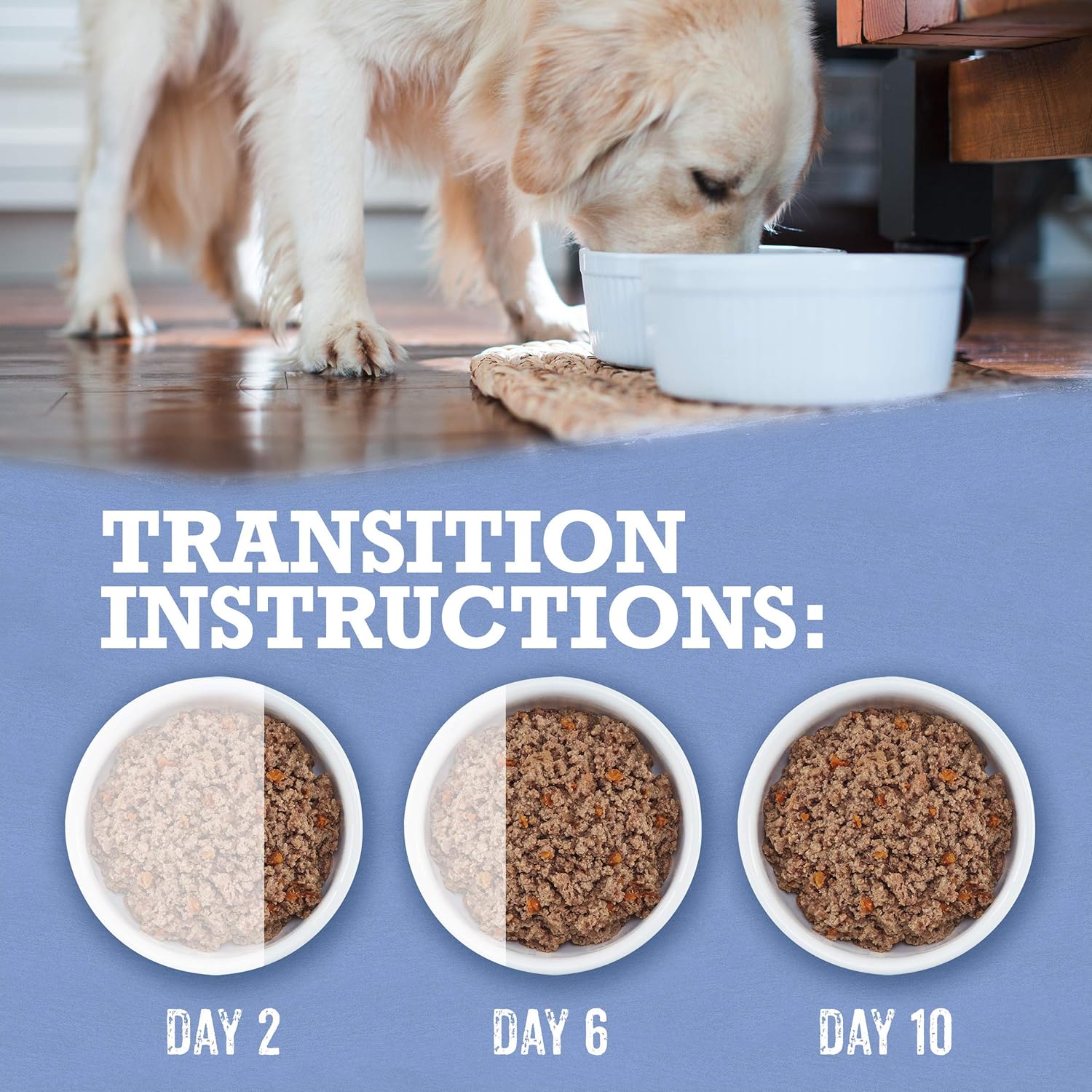 Turkey Sweet Potato 368 G Can Beyond Grain Free Natural Wet Dog Food Dogs Pet Supplies Agreena Com