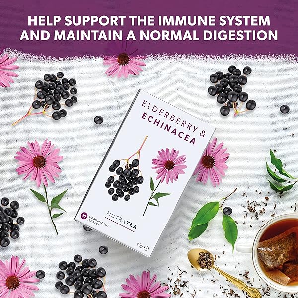 NUTRA TEA – ELDERBERRY & ECHINACEA TEA | ELDERBERRY TEA – IMMUNITY TEAS | IMMUNE TEABAGS – 20 INDIVIDUALLY WRAPPED BAGS – HERBAL TEAS – (1 PACK)
