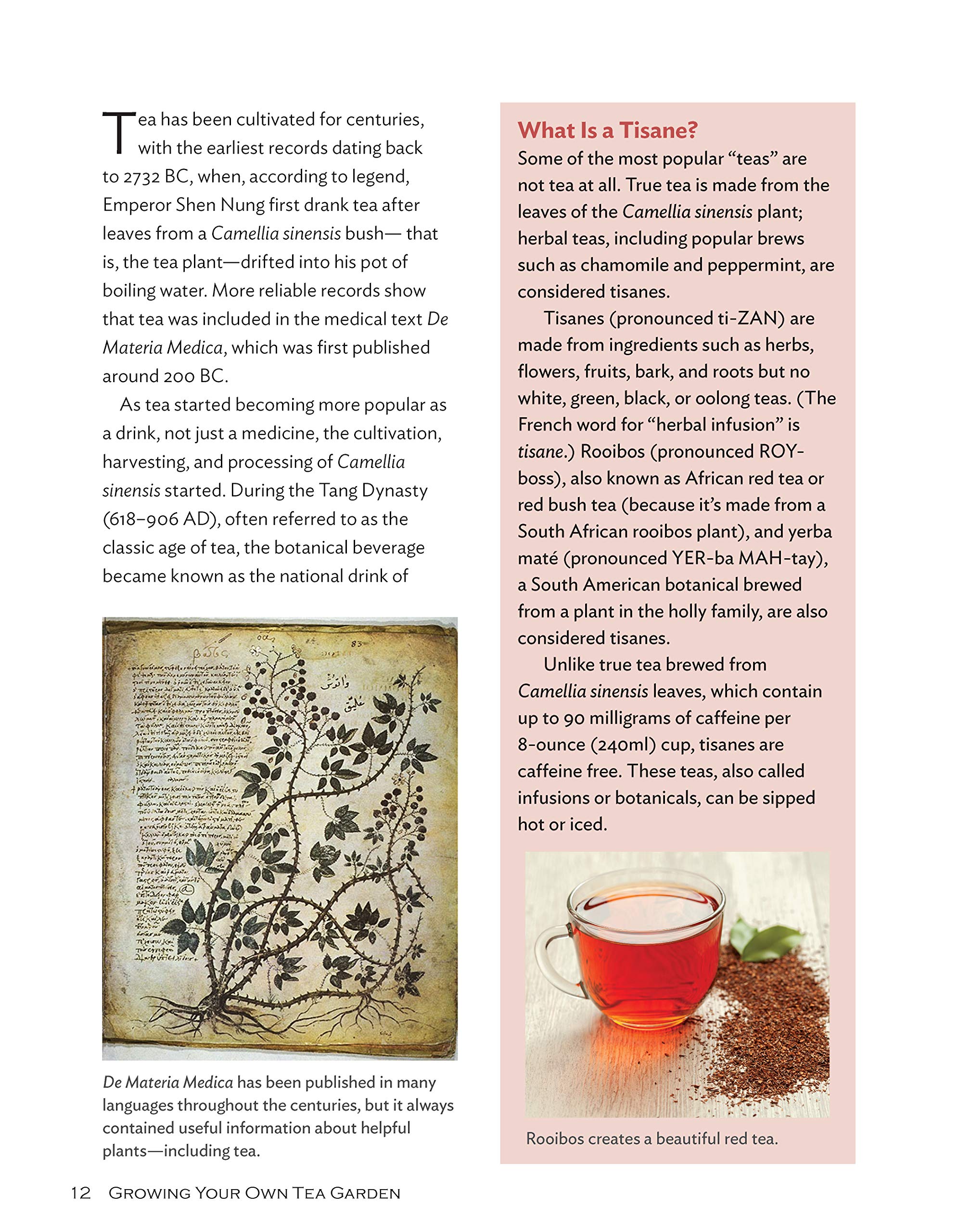 Growing Your Own Tea Garden: The Guide to Growing and Harvesting Flavorful Teas in Your Backyard (CompanionHouse Books) Create Your Own Blends to Manage Stress, Boost Immunity, Soothe Headaches & More Apr 9, 2019