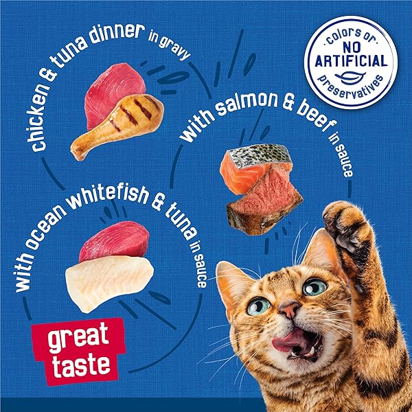 PURINA FRISKIES GRAVY WET CAT FOOD VARIETY PACK SEAFOOD PRIME FILETS FAVORITES – (PACK OF 24) 5.5 OZ. CANS