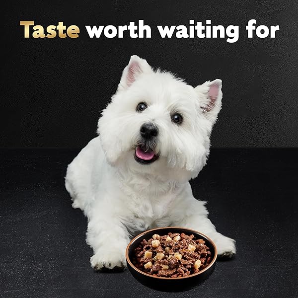 CESAR HOME DELIGHTS ADULT WET DOG FOOD GRILLED RIBEYE STEAK FLAVOR WITH VEGETABLES IN SAUCE, 3.5 OZ. EASY PEEL TRAYS (24 COUNT, PACK OF 1)