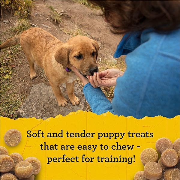 ZUKE’S PUPPY NATURALS DOG TRAINING TREATS, PORK & CHICKPEA RECIPE, NUTRIENT-RICH MINI DOG TREATS FOR TRAINING, GRAIN FREE PUPPY TREATS, 5 OZ BAG (PACK OF 1)