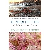 Between the Tides in Washington and Oregon: Exploring Beaches and Tidepools