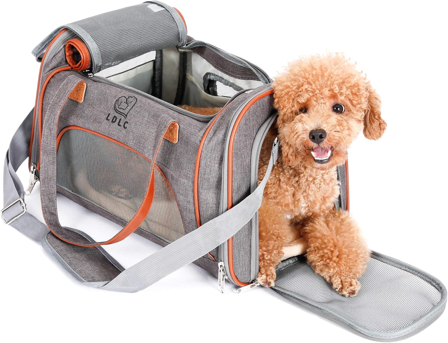 PETTOM Pet Carrier,Cat Carrier Airline Approved Dog Carrier with Luxury