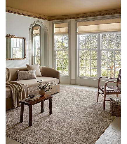 Amazon.com: Loloi Chris Loves Julia Louisa Collection LOI-04 Taupe